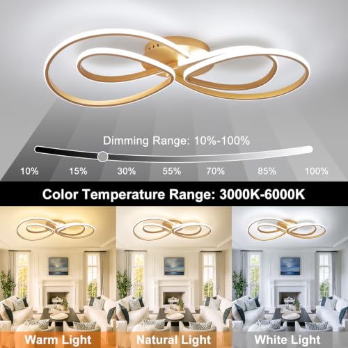 Modern LED Ceiling Light