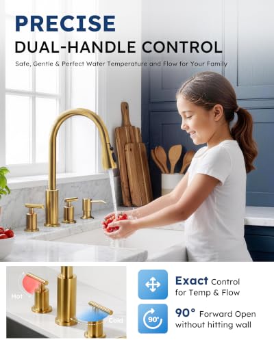 2 Handle Kitchen Faucet 4 Hole with Sprayer and Soap Dispenser