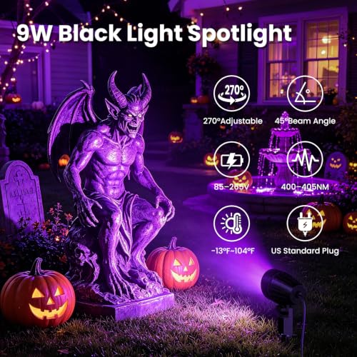 Black Light Outdoor Spotlight