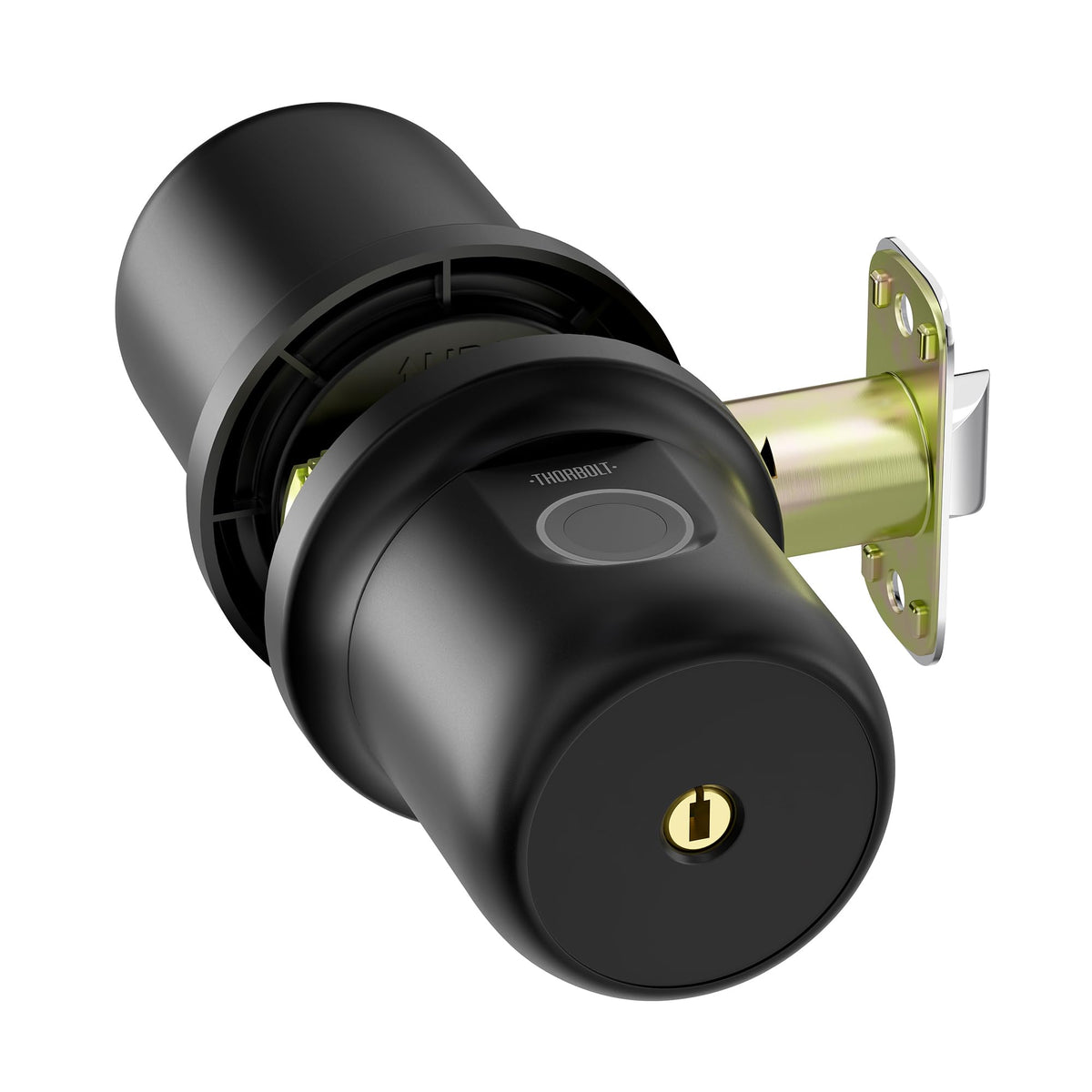 G1 Fingerprint Door Knob Lock with Keypad (Coal Black)