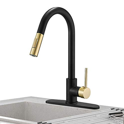 High Arc Single Handle Kitchen Sink Faucet With Pull Out Sprayer
