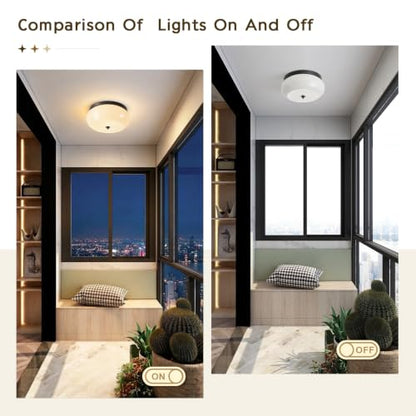 Modern Ceiling Light