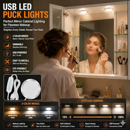 USB LED Puck Light