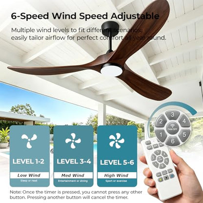 Ceiling Fans with Lights