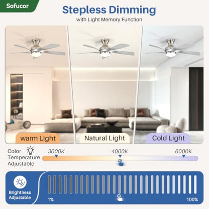 52 Inch Smart Ceiling Fans with Lights and Remote (Silver+Nickel / 52inch Max)