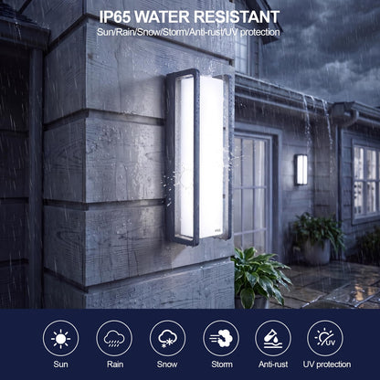 50W LED Outdoor Wall Light (1/50w/6000k/Black)