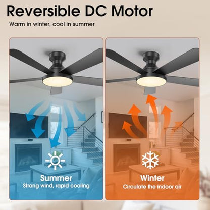 Ceiling Fans with Lights