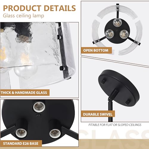 Black Glass Chandelier