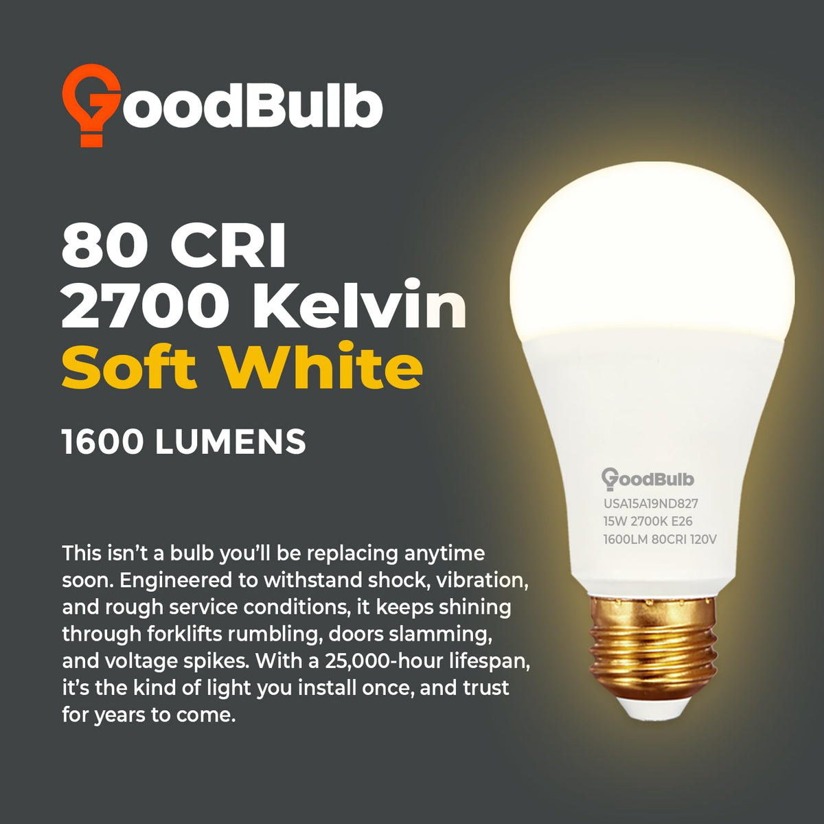 Made in USA A19 LED Light Bulbs (Soft White)