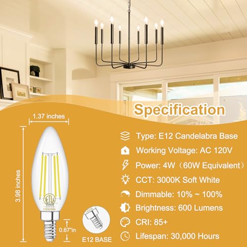 E12 Chandelier LED Light Bulbs 60W Equivalent 3000K Warm White (6 Count (Pack of 1))