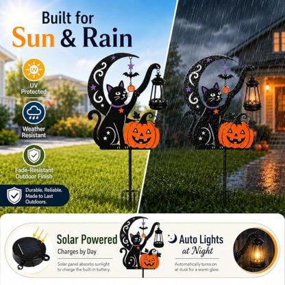2 Pack Outdoor Yard Light Decorations
