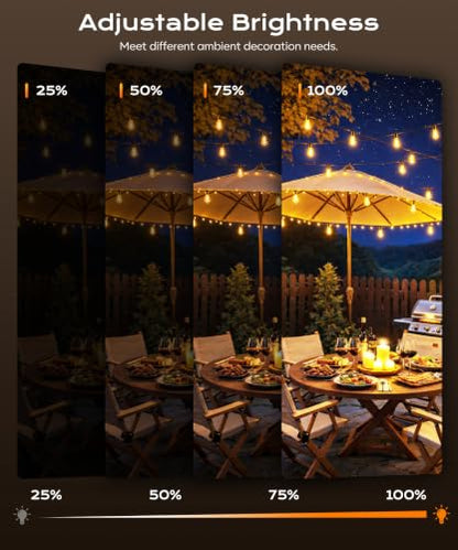 Outdoor Lights