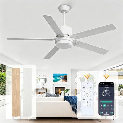 Black Ceiling Fan