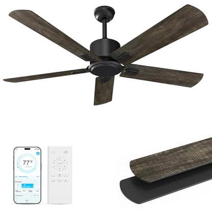 Black Ceiling Fan