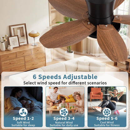 Small Ceiling Fan with Lights (Dark wood grain / 25 Inch)