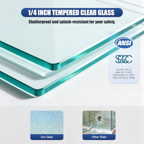 Glass Shower Door
