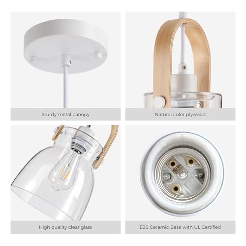 Hand Blown Glass Pendant Light
