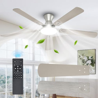 Ceiling Fans with Lights
