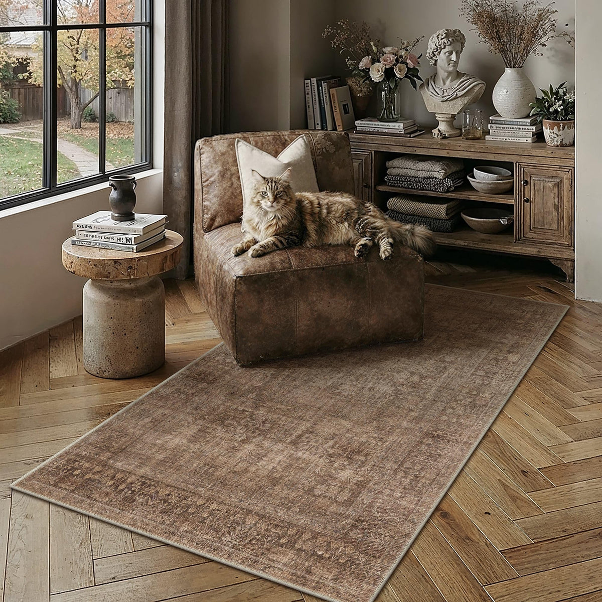 Classic Brown 3x5 Neutral Area Rugs for Living Room (Classic Brown / 3' x 5' (Rectangular))