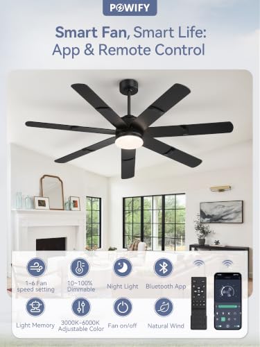 Ceiling Fans with Lights