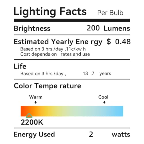Large Decorative LED Edison Light Bulb