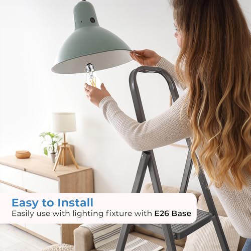 Stepless Dimmable A19 LED Edison Bulbs