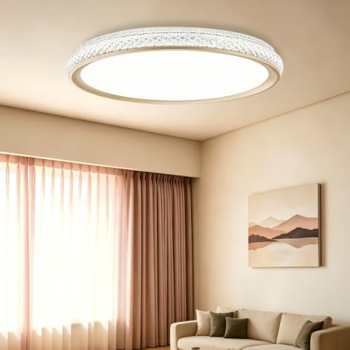 LED Flush Mount Ceiling Light
