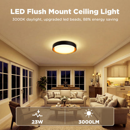 2 Pack Flush Mount Ceiling Light (Matte Black)