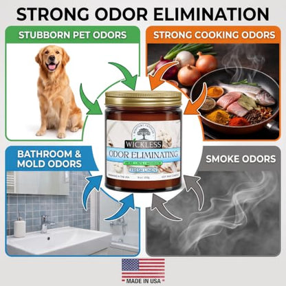 Wickless Odor Eliminating Candle for Candle Warmer Lamp