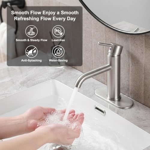 Bathroom Faucet (Brushed Nickel)