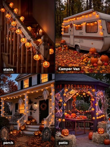10.5Ft Halloween Pumpkin String Lights (Orange Pumpkin Lights / 11.5FT)
