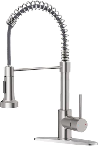Kitchen Faucet 9009SN