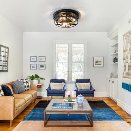 Black Ceiling Light Fixture with Gold Base