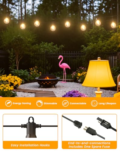 G50 String Lights