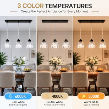 3153 5 Light Pendant Light Round Base cage