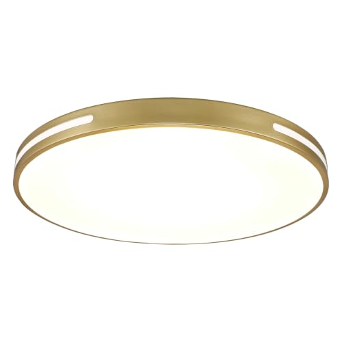 Close to Ceiling Light VC10