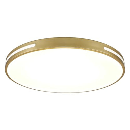 Close to Ceiling Light VC10