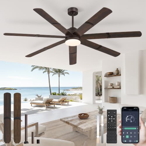 Ceiling Fans with Lights