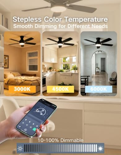 Ceiling Fans with Lights