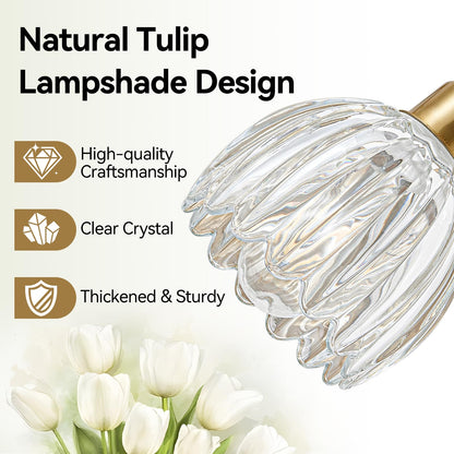 Gold Vanity Lights for Bathroom with Clear Tulip Glass Shade (Gold - Tulip Clear / 4-light)