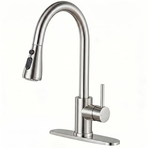 Kitchen Faucets with Pull Down Sprayer (Silver)
