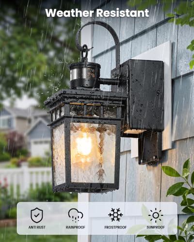 G81615P Outdoor wall Light