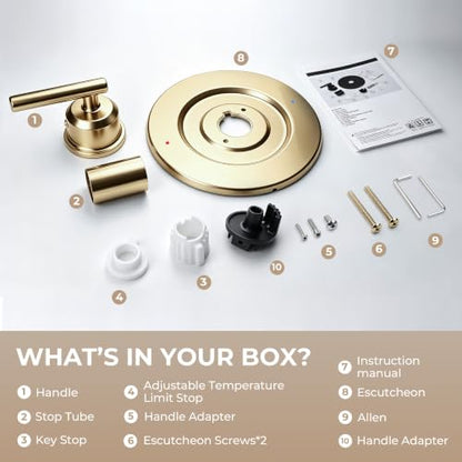 Shower Valve Trim Kit Compatible with Moen Gibson T2901 Posi