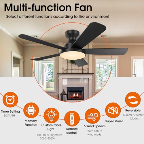 Ceiling Fans with Lights