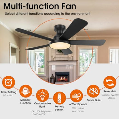Ceiling Fans with Lights