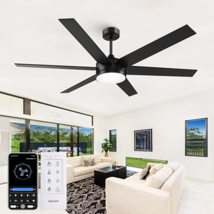 Large Ceiling Fan with Lights