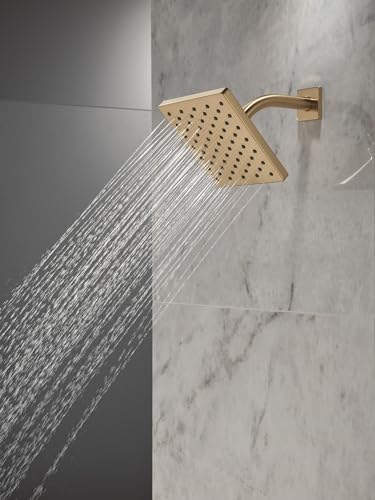 Modern Single Spray Brushed Gold Shower Head