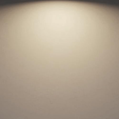 A19 14W Dimmable Led Light Bulbs 6 Pack