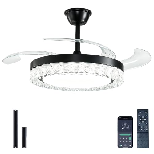Ceiling Fans with Lights