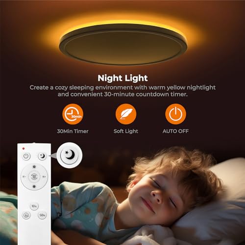 12in LED Flush Mount Ceiling Light Fixture with Remote Control